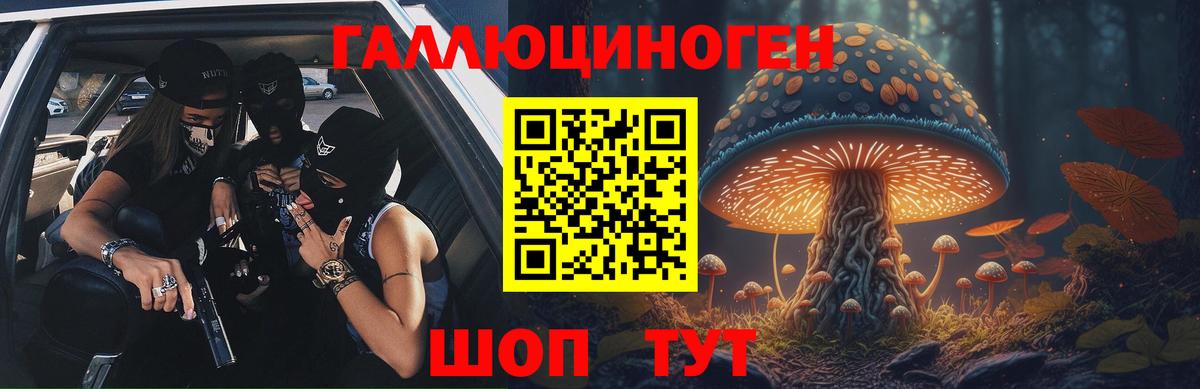Галлюциногенные грибы прущие грибы  где найти   Великие Луки  Вход с VPN 